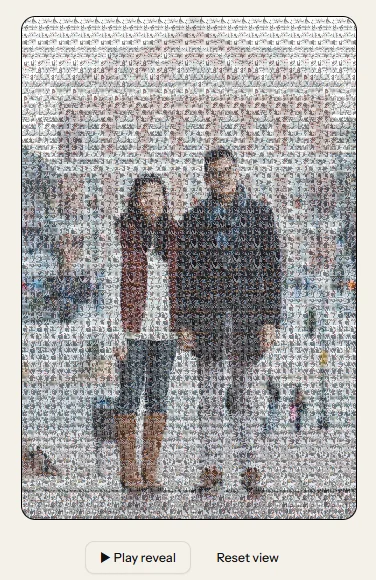Mosaic Moments